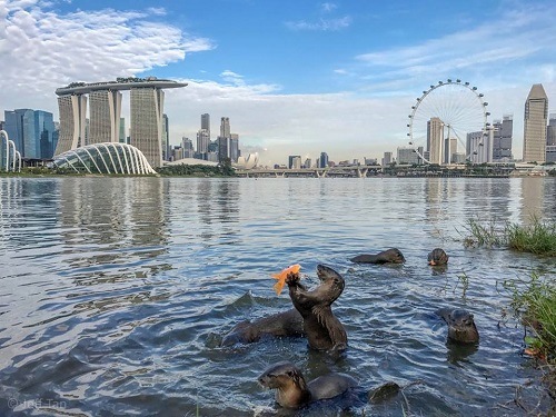 Otter Town - 银幕上的艺术与科学 - 滨海湾金沙