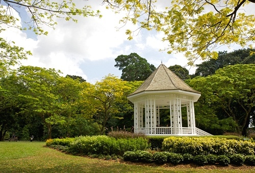 新加坡植物园