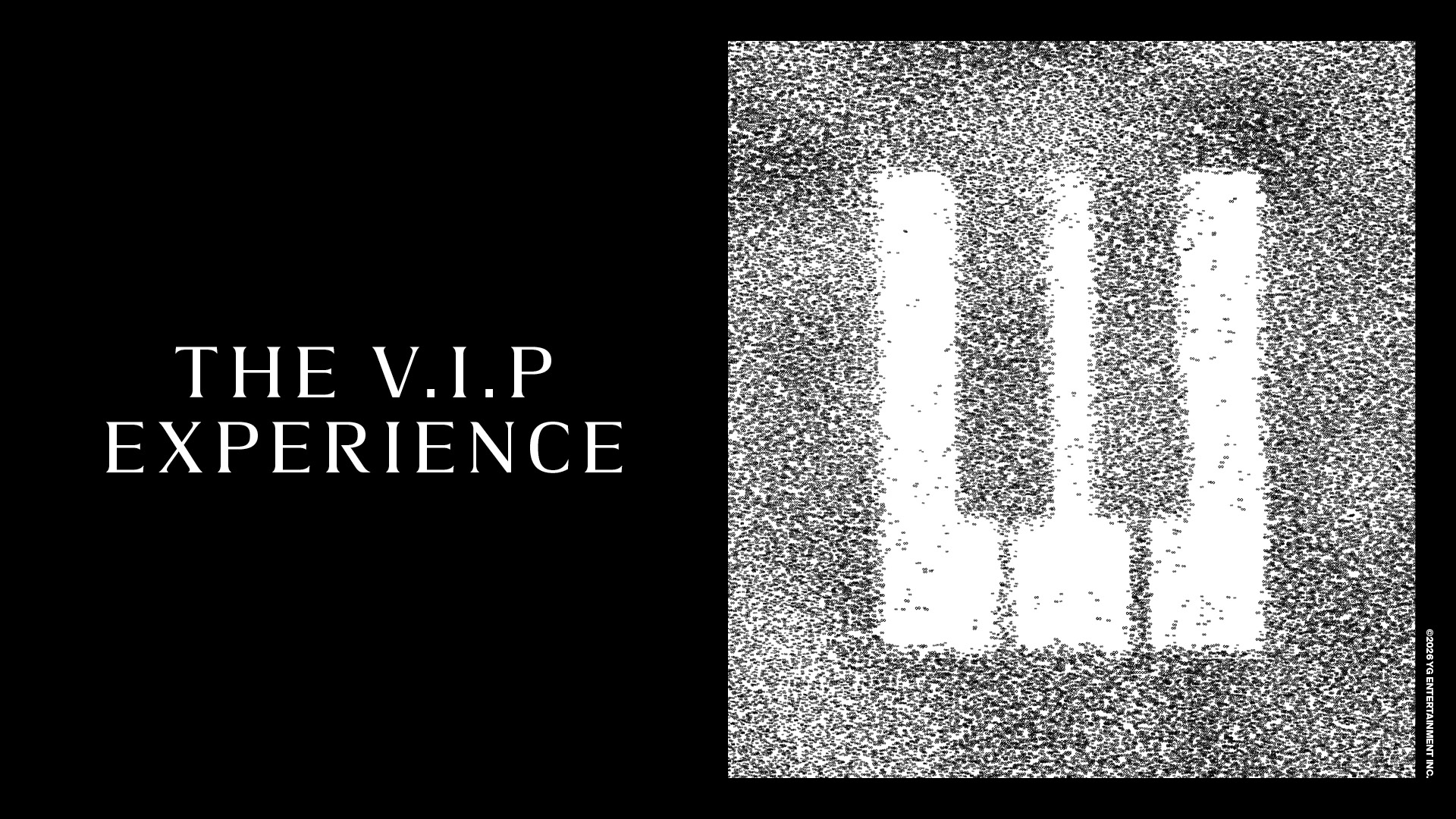 THE V.I.P EXPERIENCE 酒店住宿配套