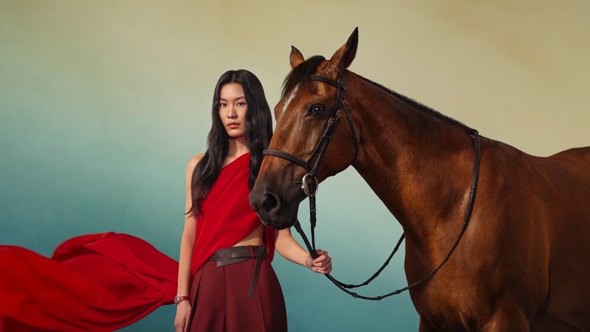 2026 Chinese New Year, Zodiac forecast for the Year of Horse