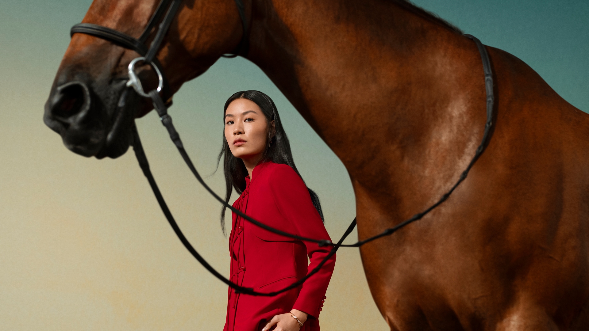 骏马奔腾贺新年，尽在购物商城