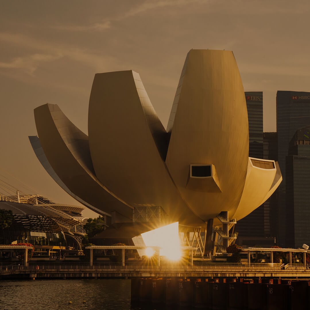 艺术科学博物馆