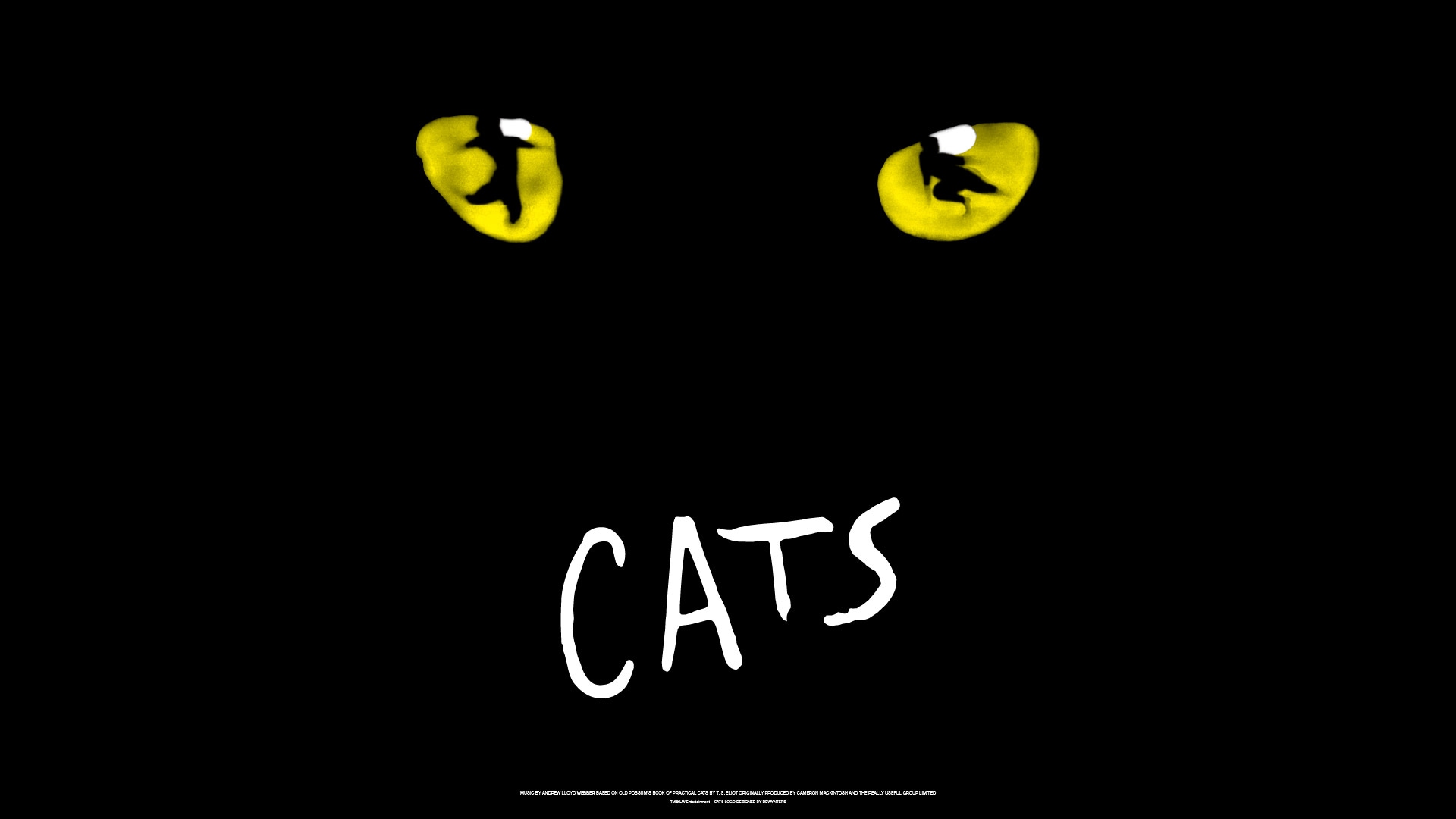 2026 年 10 月 29 日至 11 月 22 日，音乐剧《猫》将于金沙剧院上演。