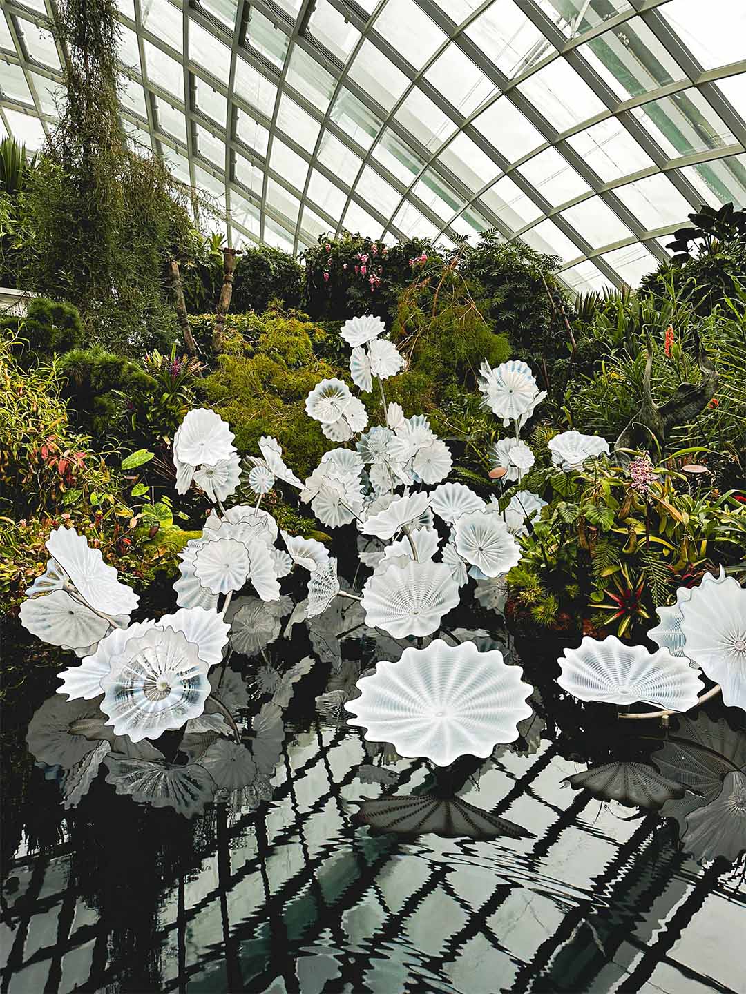 滨海湾金沙附近的滨海湾花园内，白色花朵漂浮在池塘中
