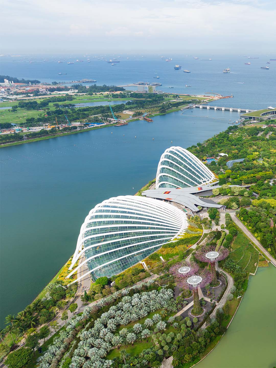 邻近滨海湾金沙的新加坡滨海湾花园穹顶俯视图