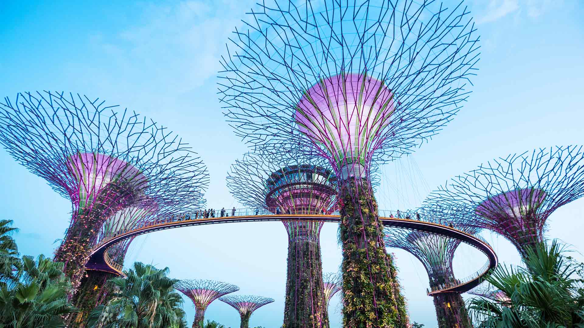 滨海湾花园的 OCBC Skyway