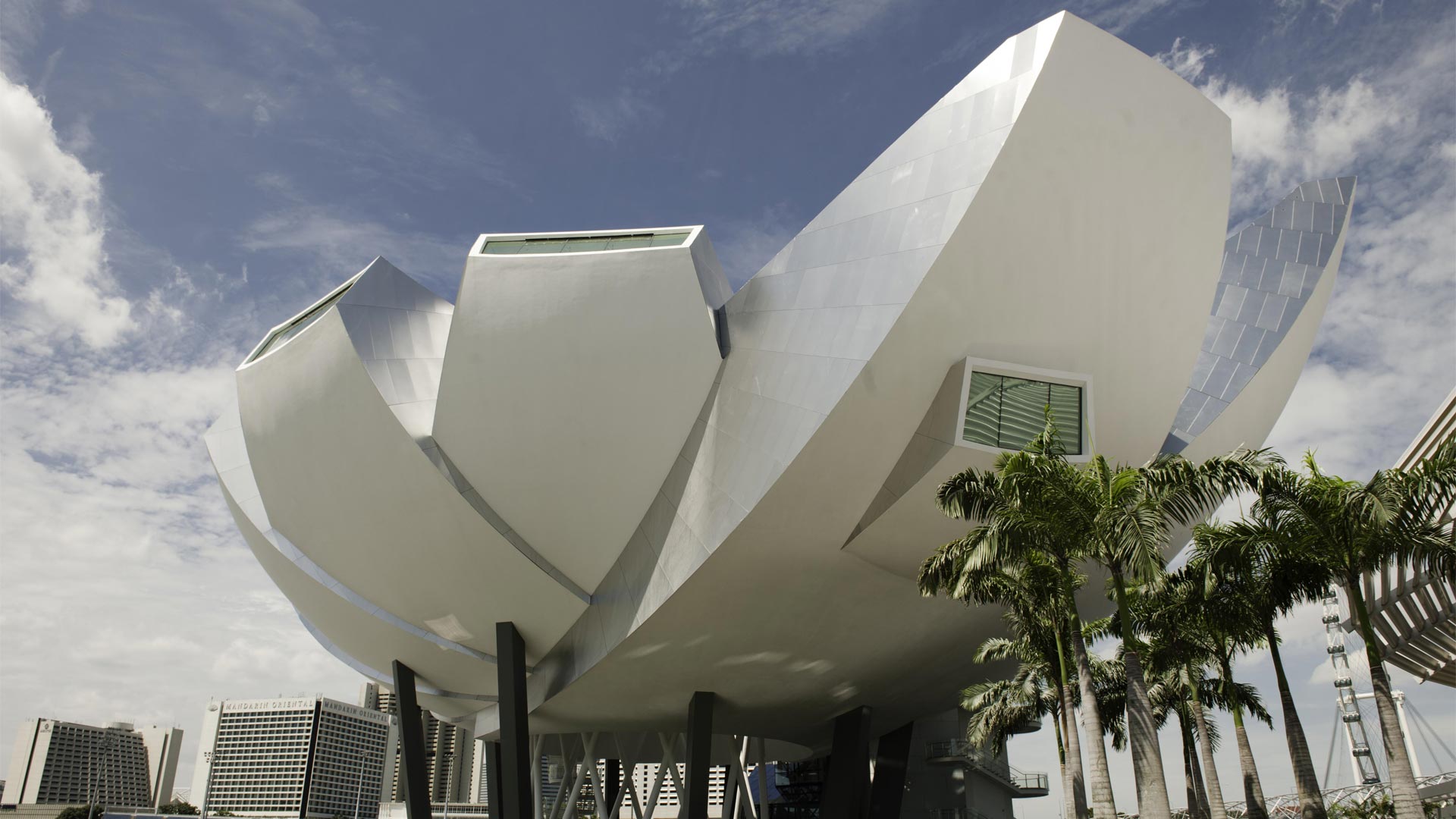 艺术科学博物馆的莲花造型建筑，新加坡热门拍照地