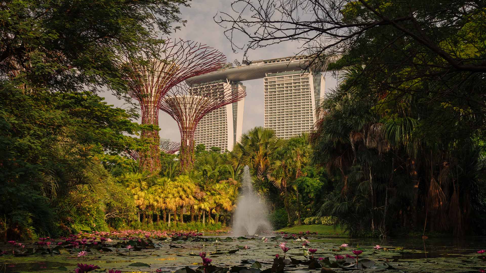 滨海湾花园的擎天树与花穹，新加坡热门拍照打卡地