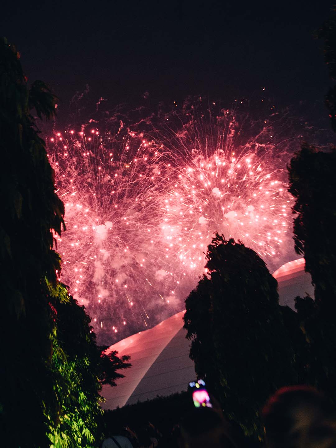 跨年夜烟花点亮新加坡夜空 