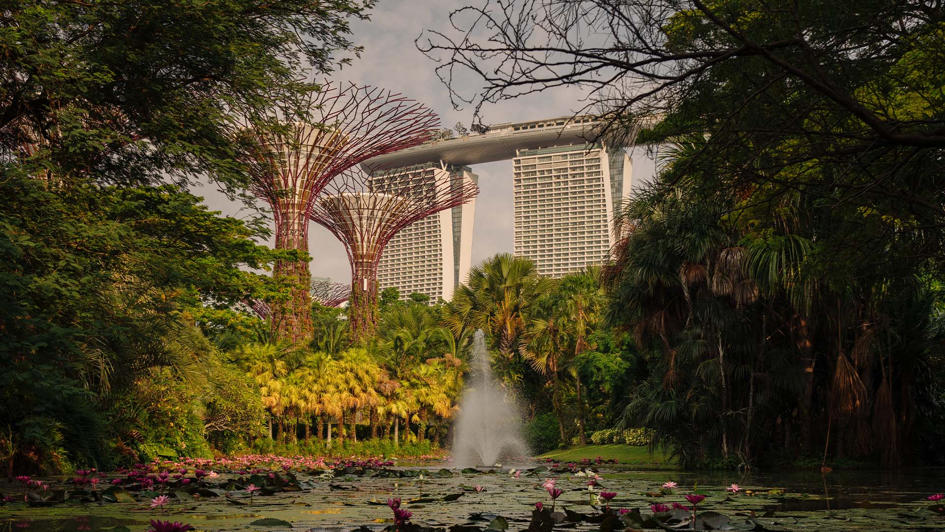 滨海湾金沙的建筑与滨海湾花园的擎天树，是您新加坡行程中不可错过的景点
