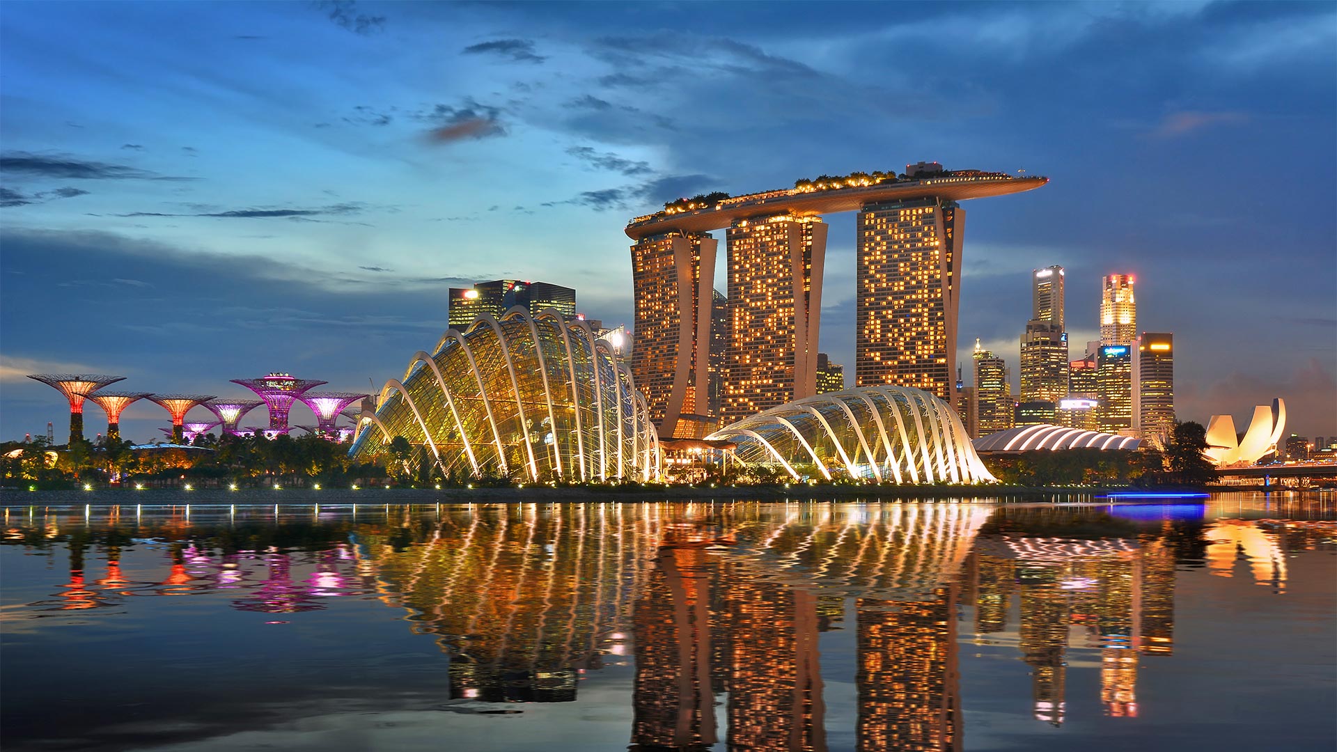 滨海湾金沙，滨海湾花园花型穹顶，新加坡夜景