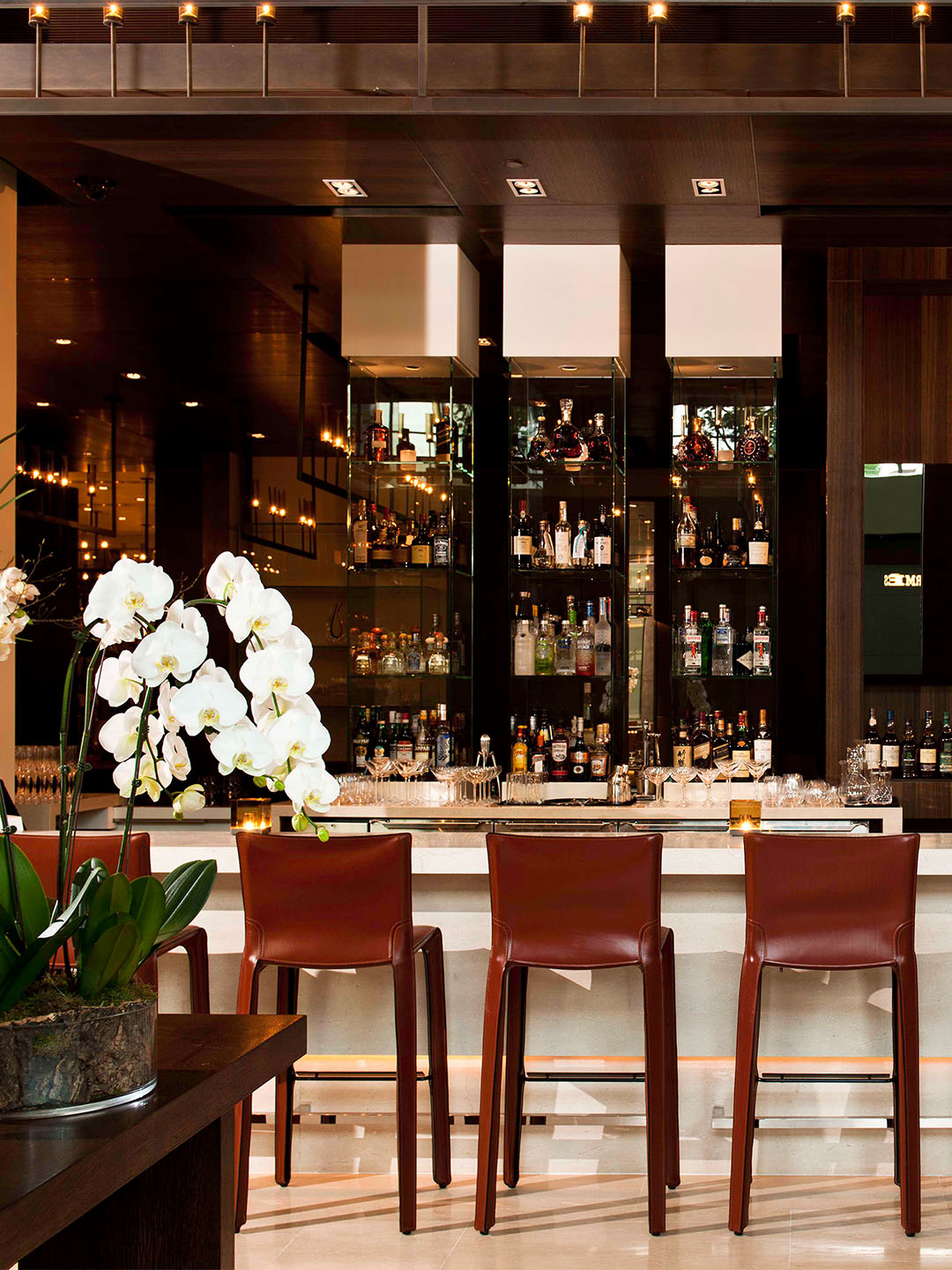 米其林星级指南