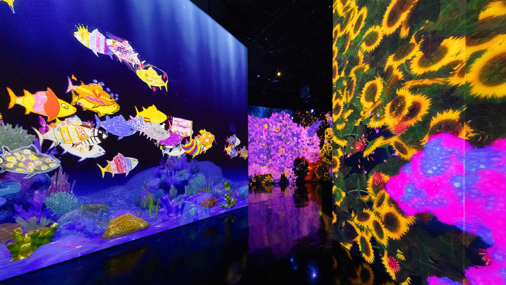 艺术科学博物馆沉浸式展览，度过充满乐趣的复活节周末