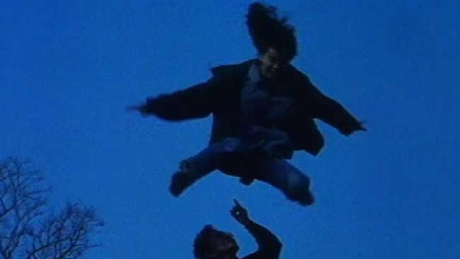 Ten, Mitake 天、見たけ (See Heaven), 1995 by Naomi Kawase