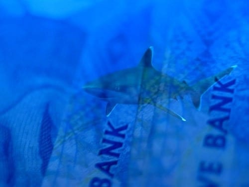 Becoming Visible (2018)