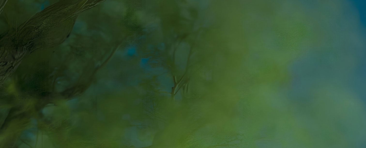 Encountered in Alive