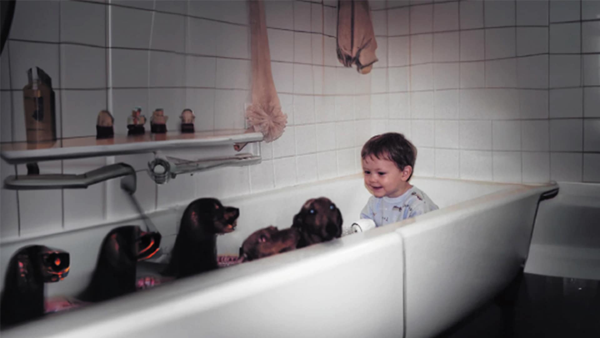 Free Screenings: AI and Animation