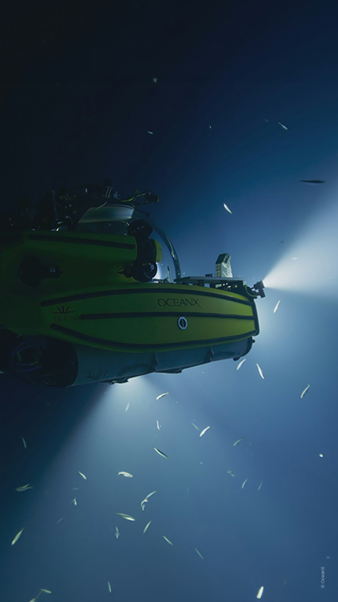 Into The Ocean: Journey Beneath