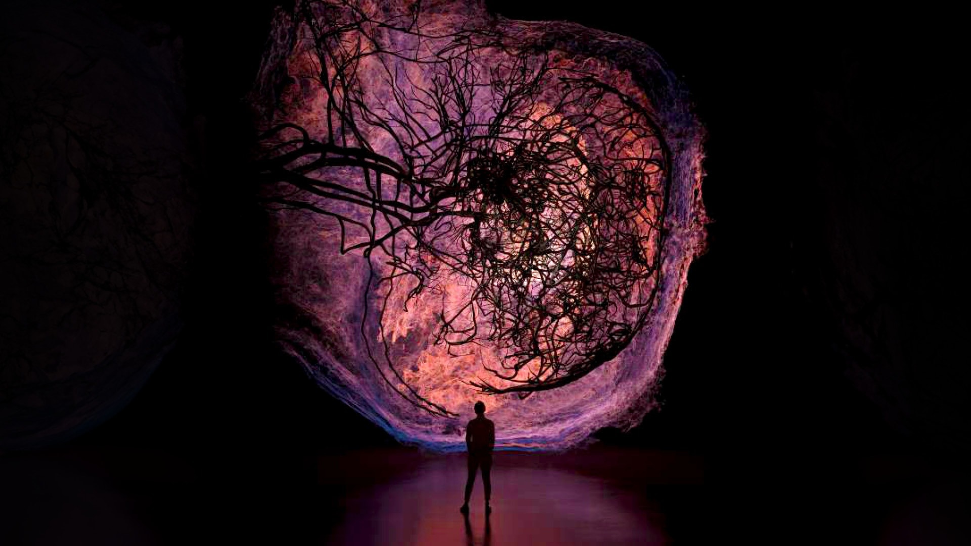 Flesh & Bones: The Art Of Anatomy