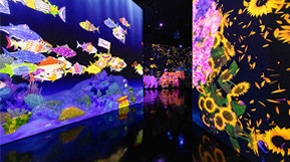 teamLab 超跃未来