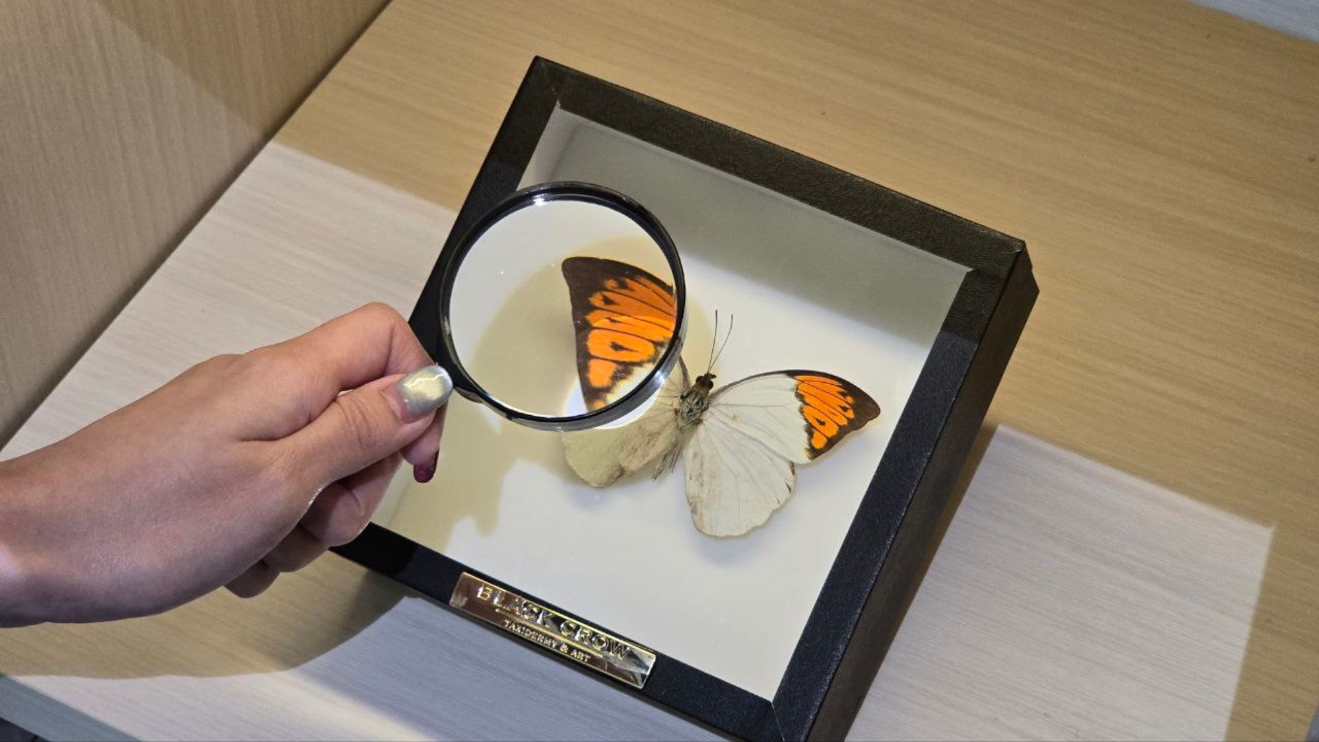 Environmental Empathy: Let’s Magnify!