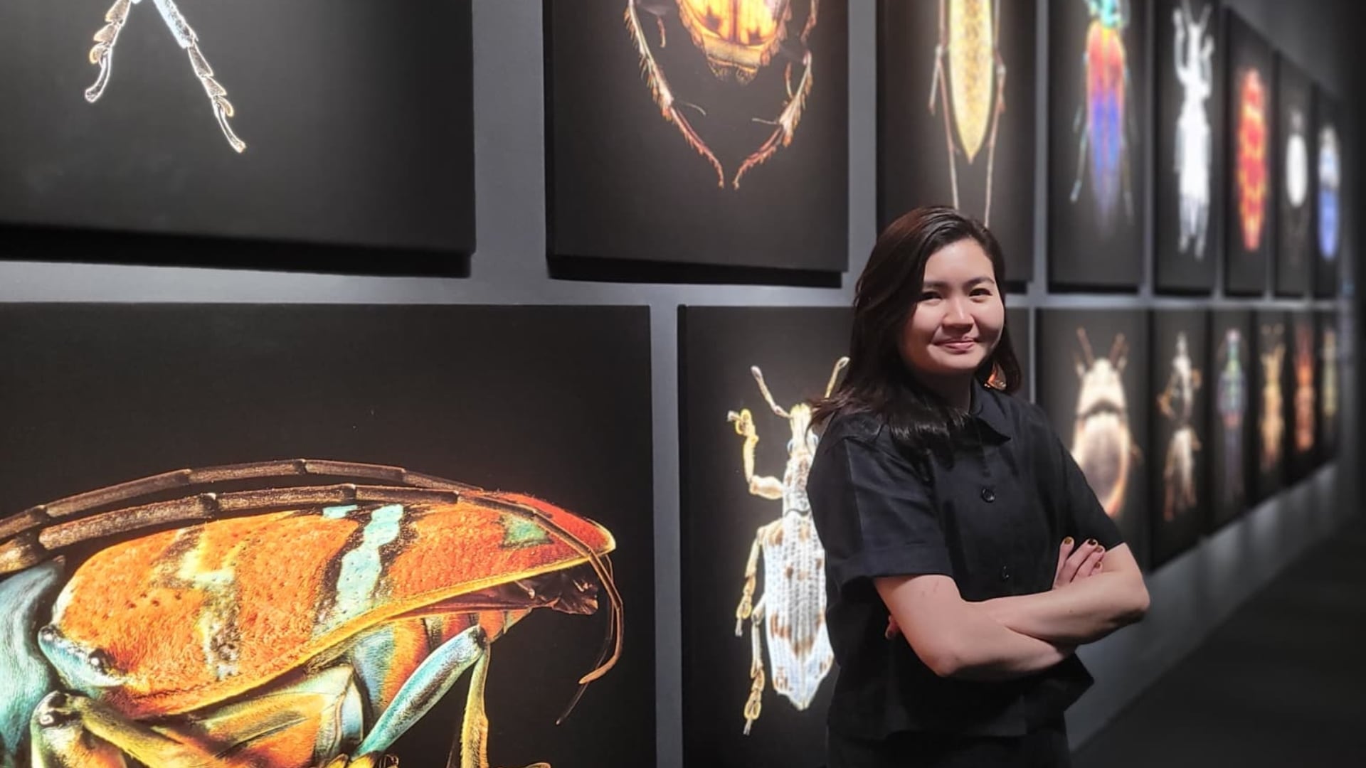 Curator’s Tour of Insects: Microsculptures Magnified