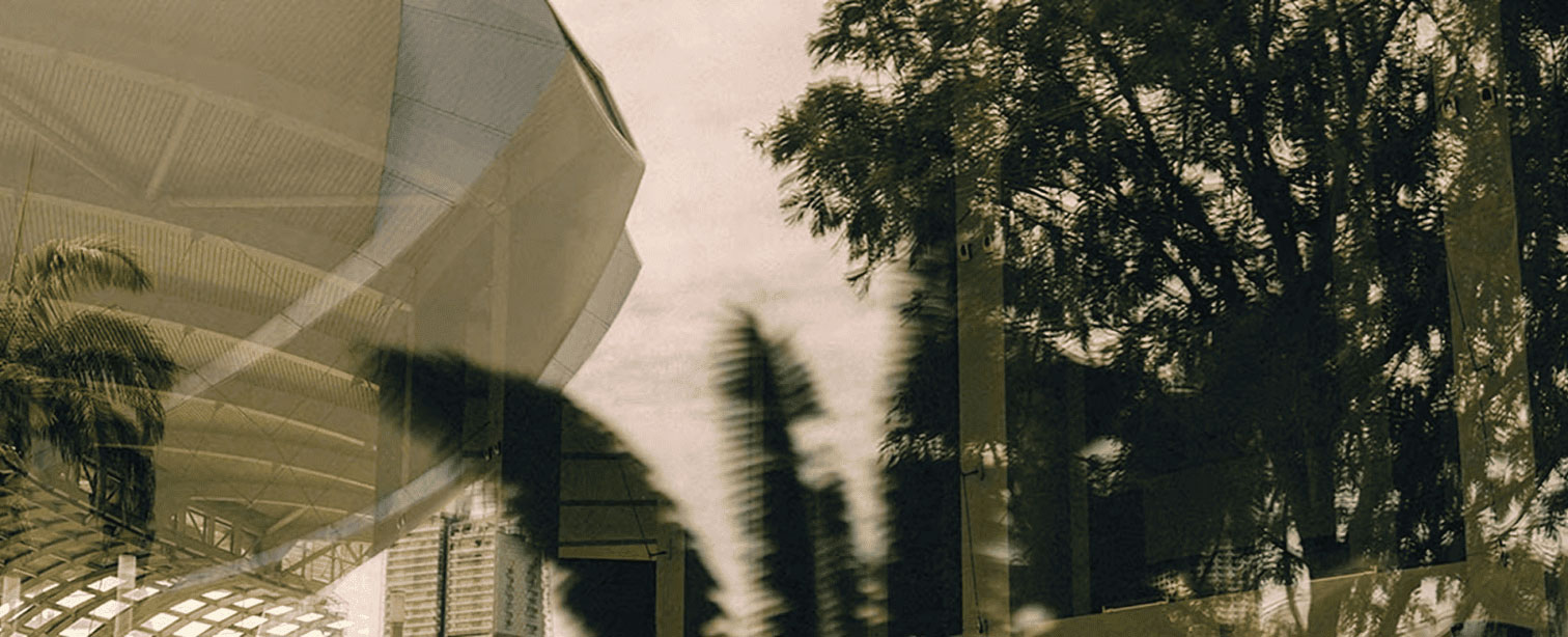 ArtScience Museum - Plan your visit