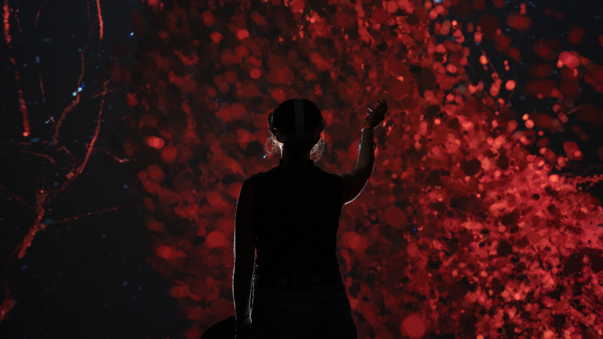 Evolver：生命与呼吸的沉浸之旅