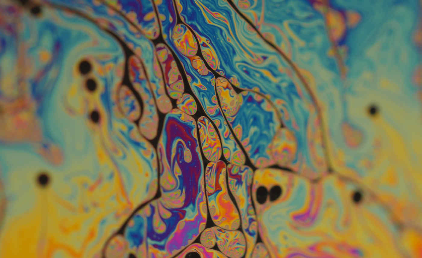 Nicky Assmann 与 Joris Strijbos