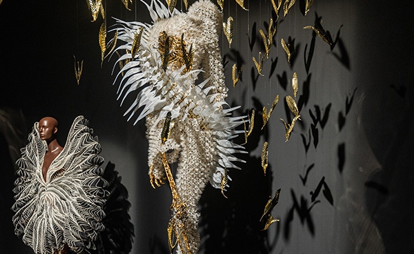 新自然 (New Nature)