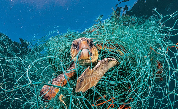 展区 2：塑料的黑暗面