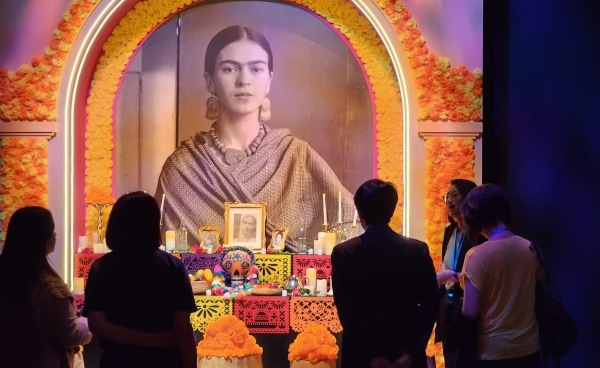 Frida Kahlo: The Life of an Icon 导览