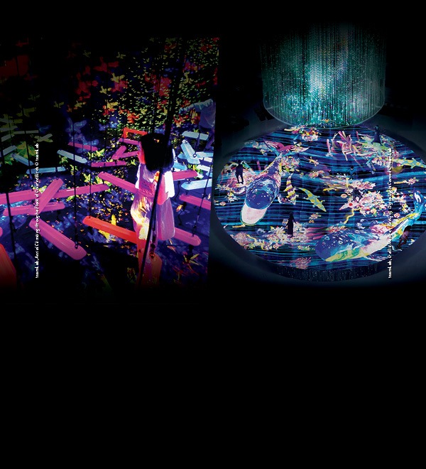 teamLab 超跃未来 & 光之魅影