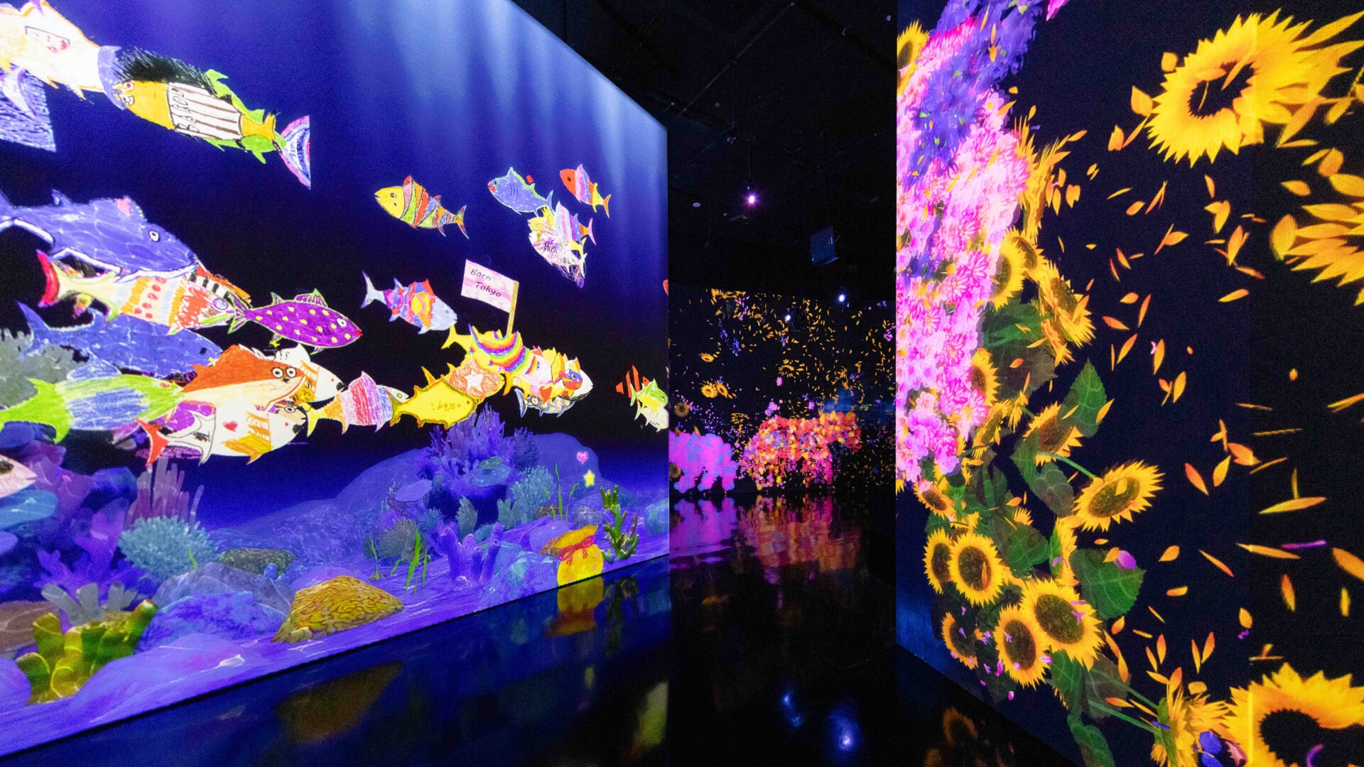 艺术科学博物馆“超跃未来”