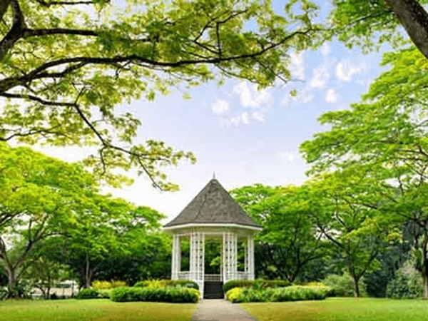 新加坡的植物园