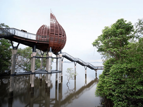 探索双溪布洛湿地