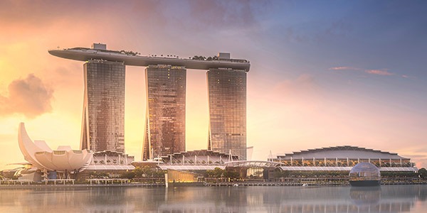 新冠疫情（Covid-19）动态