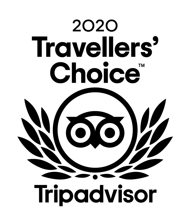 猫途鹰 - 2020 年旅行者之选