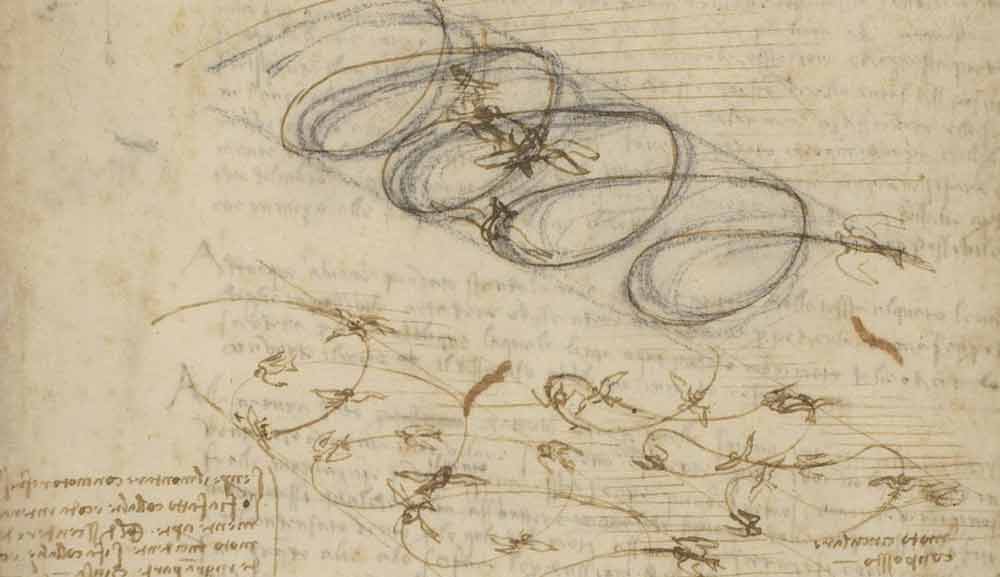 鸟类飞行研究 列奥纳多·达·芬奇《大西洋古抄本》(Codex Atlanticus) 1505 F.845 正面