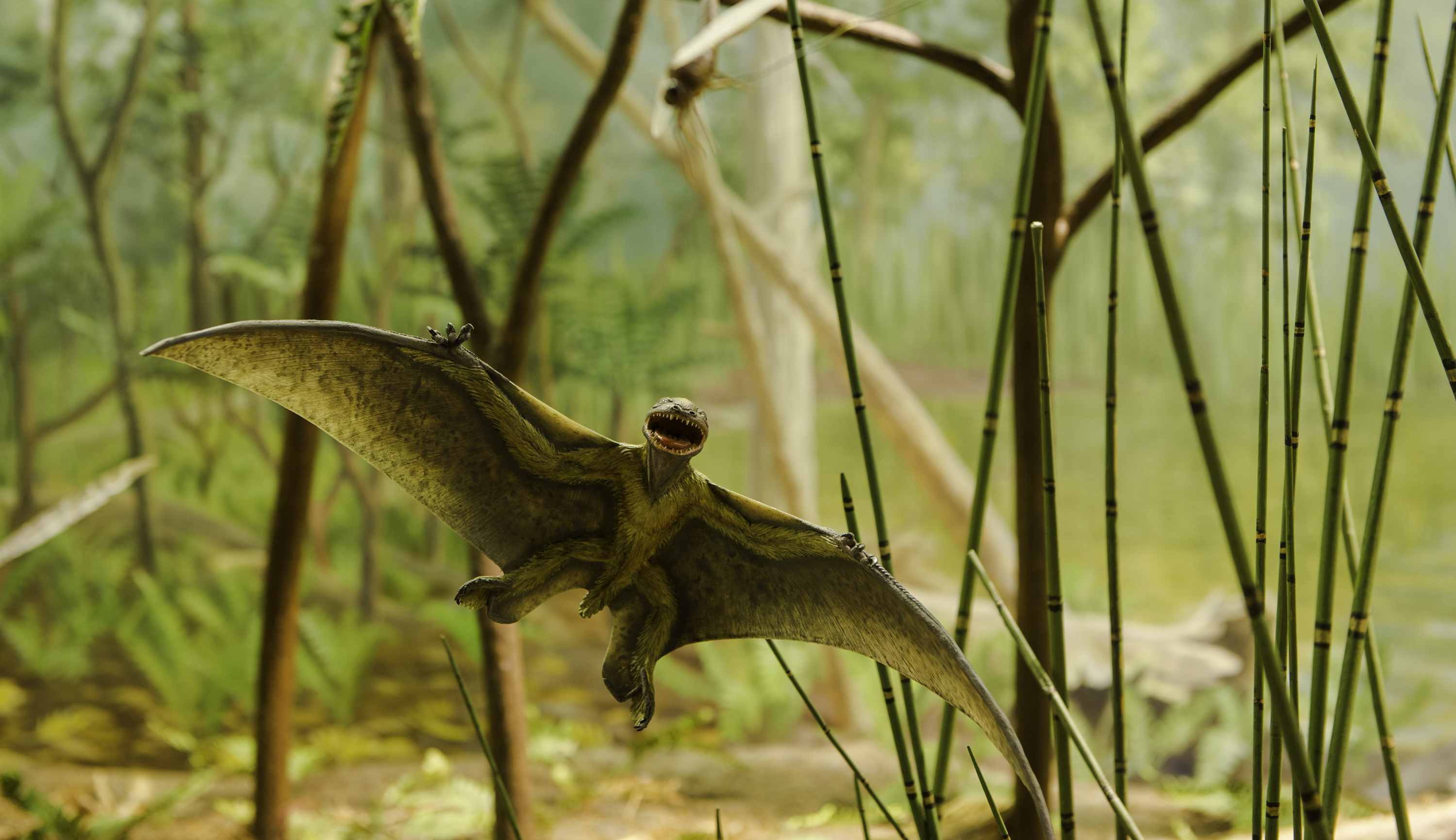新加坡艺术科学博物馆 - 《恐龙： 黎明至灭绝》展览