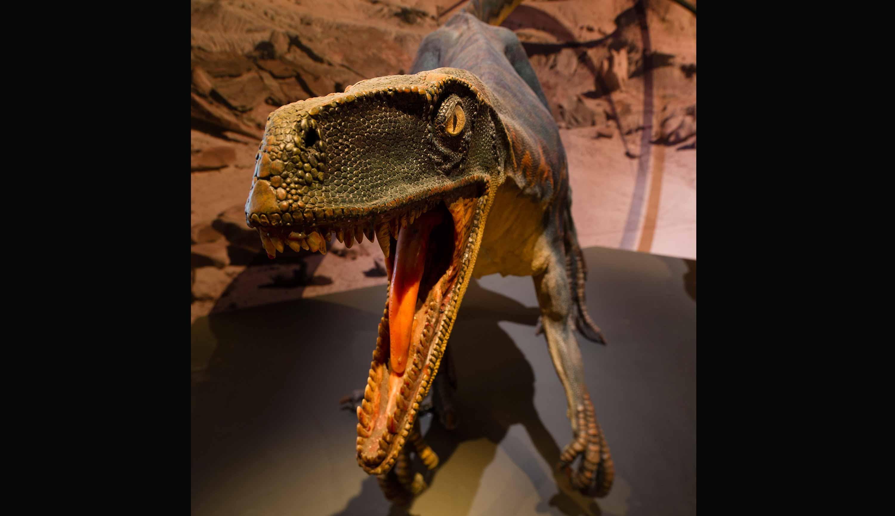 新加坡艺术科学博物馆 - 《恐龙：黎明至灭绝》展览