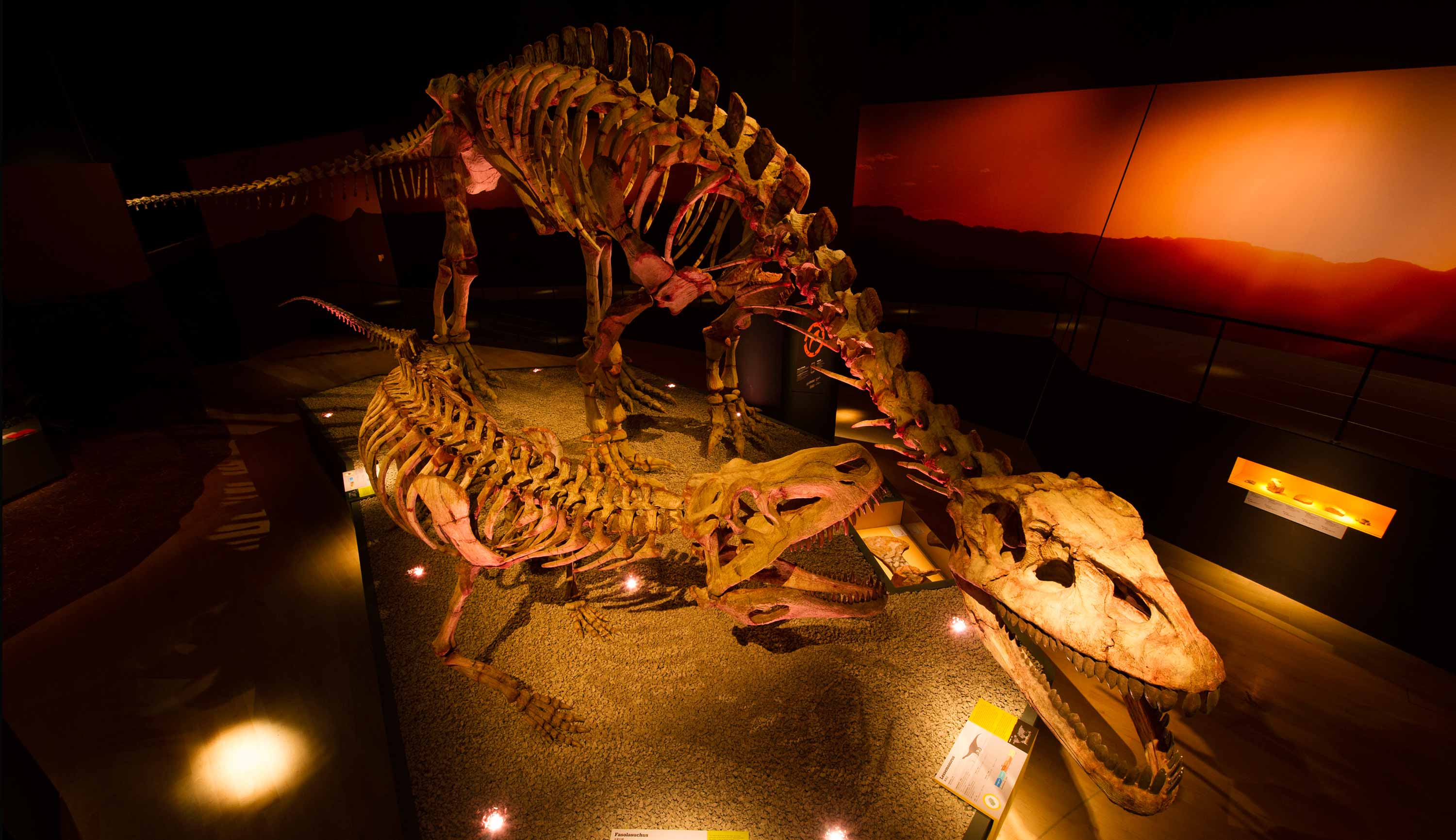 《恐龙：黎明至灭绝》展览