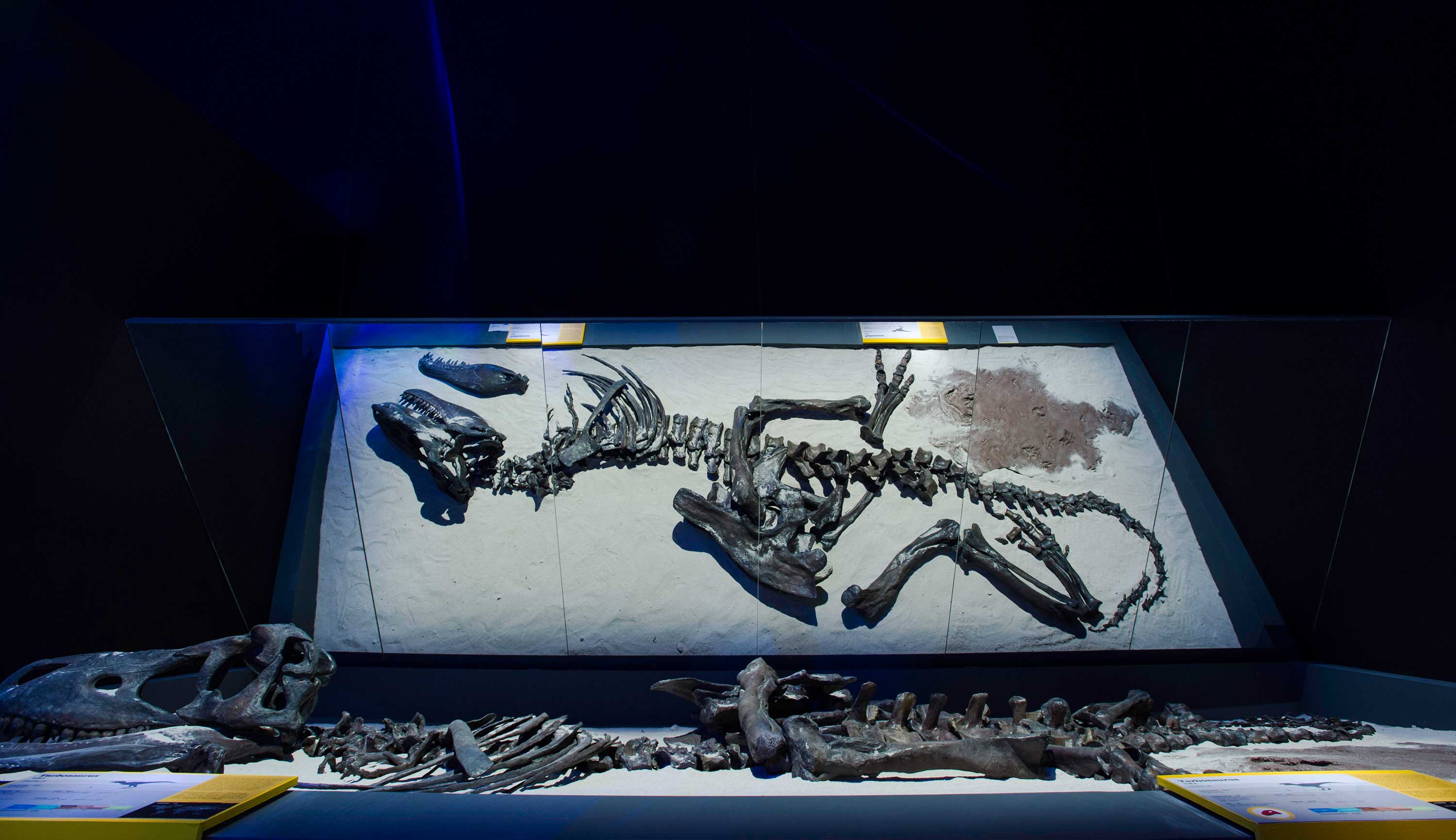 新加坡艺术科学博物馆 - 《恐龙：黎明至灭绝》展览