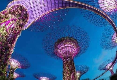 新加坡夏季旅游 - 滨海湾花园
