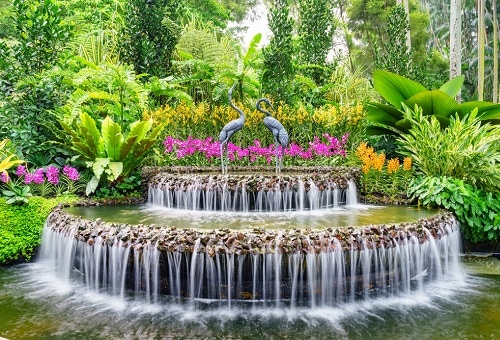 新加坡植物园 - 儿童花园