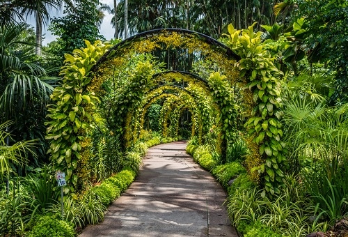 新加坡植物园 - 热带雨林