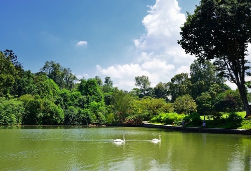 新加坡植物园 - 天鹅湖与音乐台