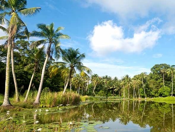 乌敏岛游玩推荐