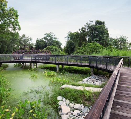 新加坡双溪布洛自然保护区 - 新加坡旅游景点