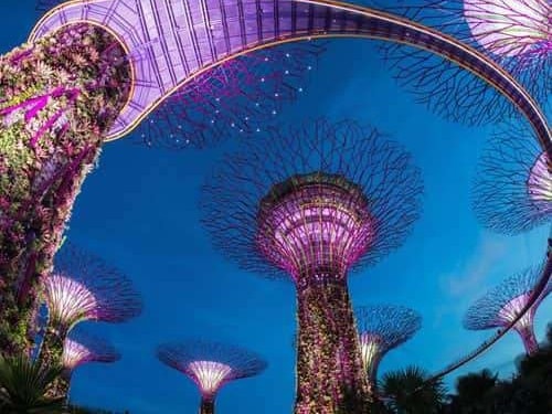 新加坡五日游 - 滨海湾花园